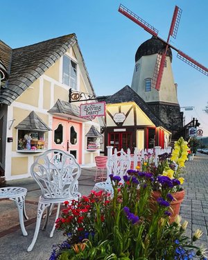 27ZONSoeL9KI-Windmill-with-flowers